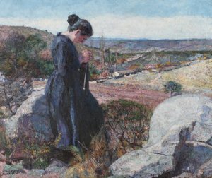 Aurinkoon